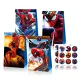 12PC Spiderman Paper Lolly Loot Bag & 18 Stickers