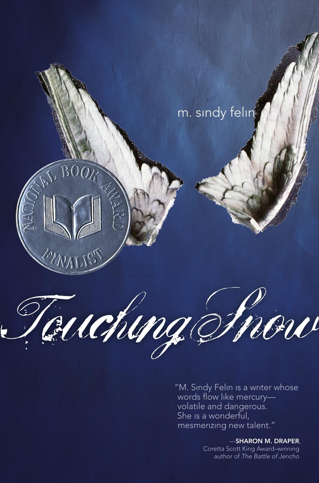 Touching Snow M. Sindy Felin Hardcover Novel Book