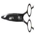 Swan Stainless Scissors - Curved 8.5" [Black]