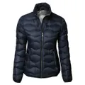 Nimbus Womens/Ladies Sierra Padded Water Resistant Down Jacket (Navy) (XL)