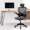 Advwin Mesh Office Chair Adjustable Ergonomic High Back Chair Grey