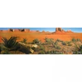 Reptile One Background Desert Yellow Land Single Sided 30cm (Per Metre) (10204)