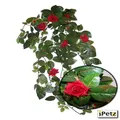 URS Red Rose leaf 690mm (14.06)