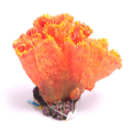 Aqua One Euphyllia Orange Coral Ornament (36880)