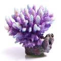 Aqua One Acropora Purple/Aqua Coral Ornament (36881)