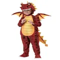 Fire Breathing Dragon Medieval Story Book Week Toddler Boys Costume