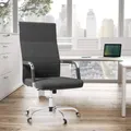 Advwin Ergonomic Office Chair High Back Computer Chair Dark Black
