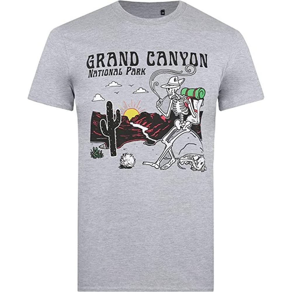 National Parks Mens Grand Canyon T-Shirt (Sports Grey) (L)