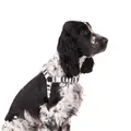 Mog & Bone Hemp No-Pull Dog Harness Pebble Black Brush Stroke Small