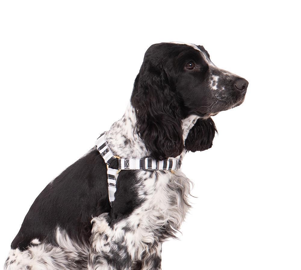 Mog & Bone Hemp No-Pull Dog Harness Pebble Black Brush Stroke Medium
