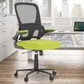 Advwin Ergonomic Office Chair Mesh Office Chair with Flip-up Armrests Height Adjustable Black & Green