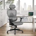 Advwin Ergonomic Office Chair Mesh High Back Desk Chair Computer Chairs with Lumbar Support Adjustable Headrest Sliding Cushion Black + Gray