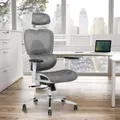 Advwin Ergonomic Office Chair Mesh High Back Desk Chair Computer Chairs with Lumbar Support Adjustable Headrest Sliding Cushion White + Gray