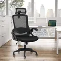 Advwin Ergonomic Office Chair Mesh High Back Desk Chair with Lumbar Support Adjustable Headrest