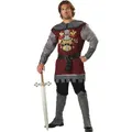 Noble Knight Mens Costume