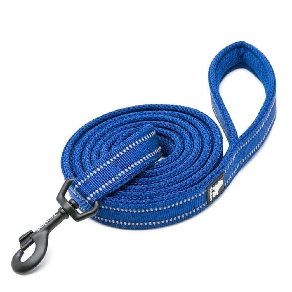Soft Reflective Nylon Leash in Harness and