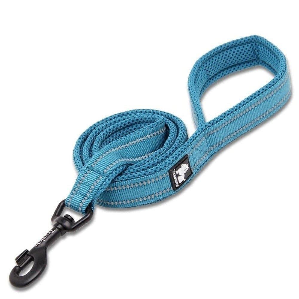 Soft Reflective Nylon Leash in Harness and