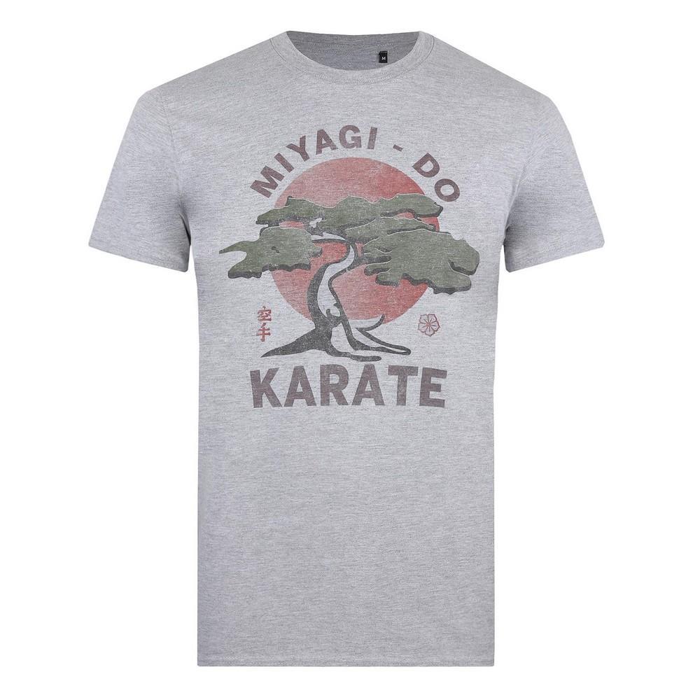 Cobra Kai Mens Miyagi Do Heather T-Shirt (Sports Grey) (XXL)
