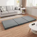 Advwin Folding Foam Mattress Trifold Portable Foldable Floor Pad Sofa Bed 195*80*10CM