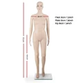 【Sale】175cm Tall Full Body Female Mannequin - Skin Coloured