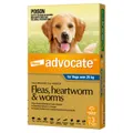 Advocate(TM) Fleas, Heartworm & Worms for X-Large Dogs Over 25kg - 3 Pack