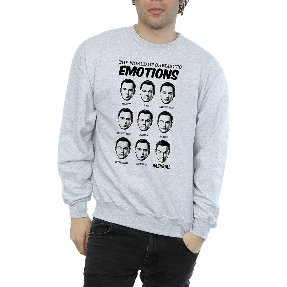 The Big Bang Theory Mens Sheldon Emotions Sweatshirt (Sports Grey) (L)