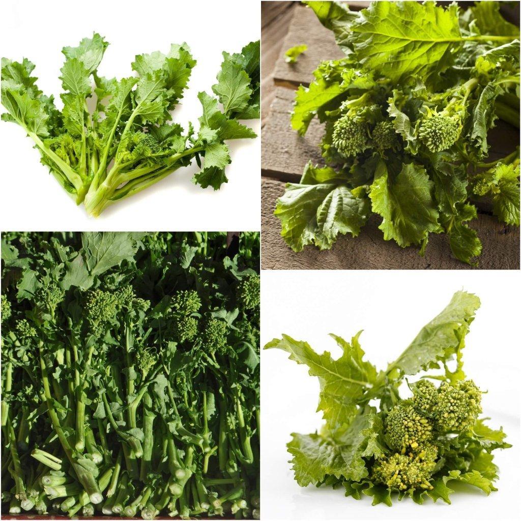 Broccoli - Raab (Rapini) seeds