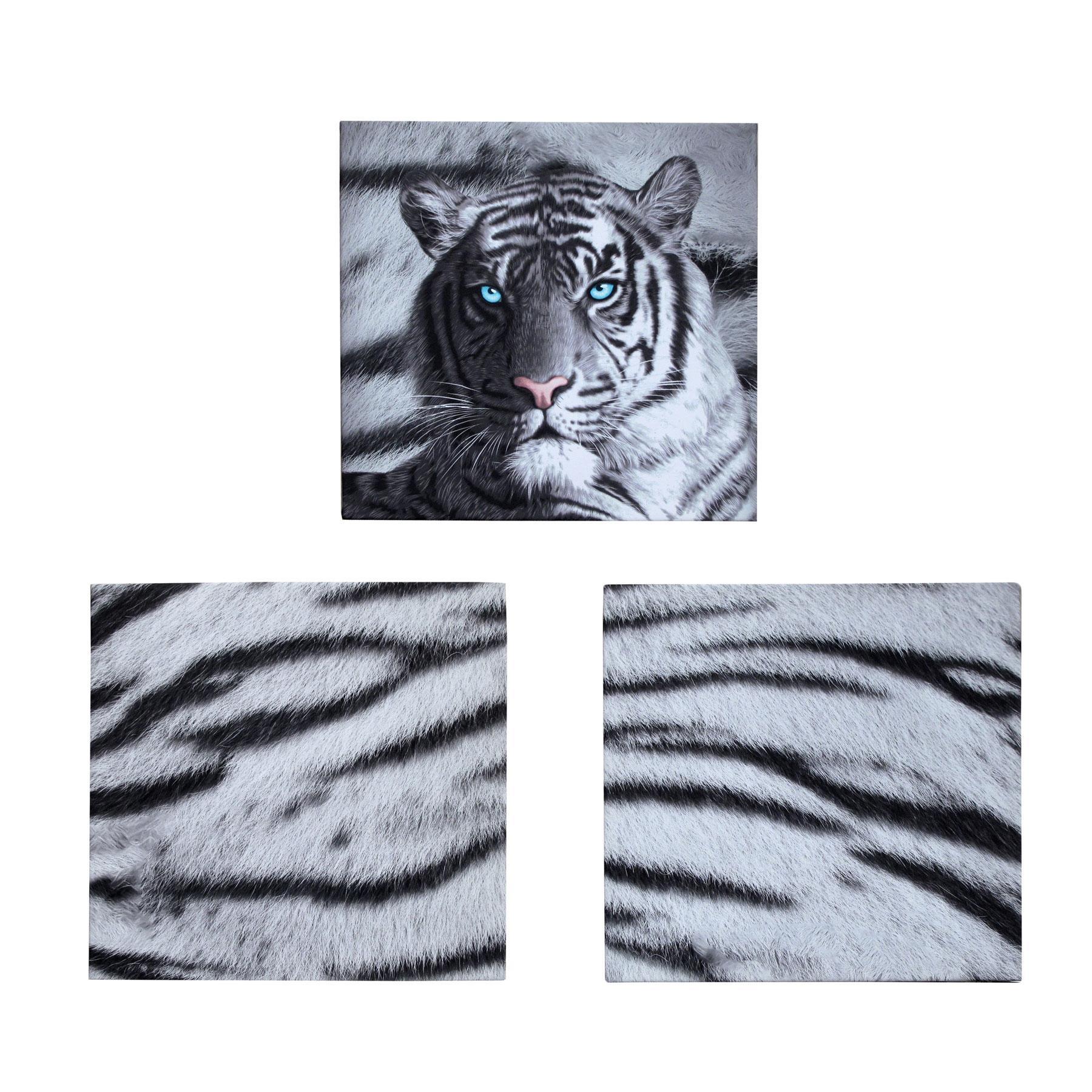 【Sale】Just Home Set of 3 Printed Blue Eyes Stripes Tiger Wall Canvas