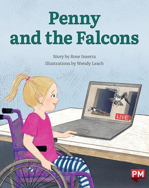 Penny and the Falcons