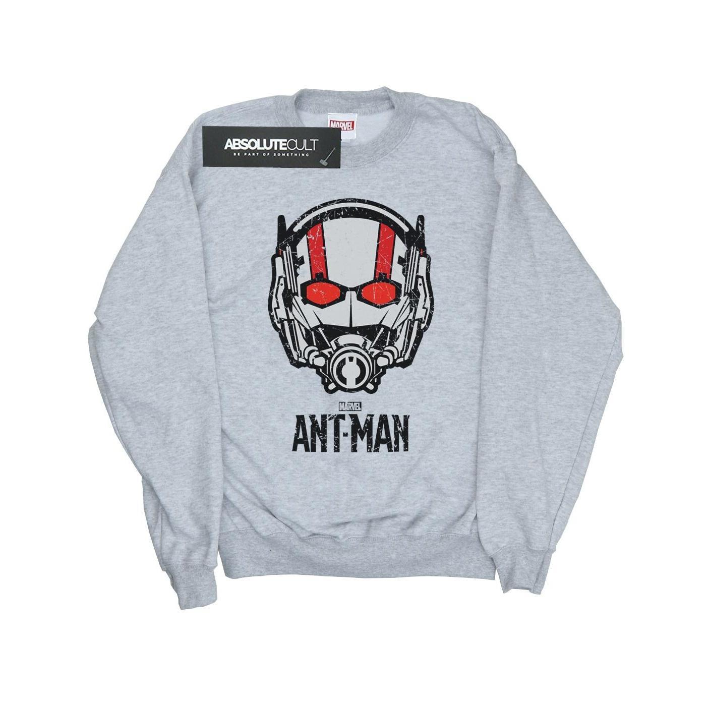Marvel Girls Ant-Man Helmet Sweatshirt (Sports Grey) (12-13 Years)
