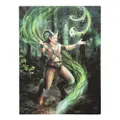 Anne Stokes Earth Elemental Wizard Canvas Plaque (Multicoloured) (25cm x 19cm)