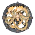 Anne Stokes Imbolc Resin Dragon Plaque (Light Yellow/Grey) (One Size)