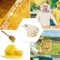 4pcs Beekeeping Extractor Honey Gate Valve Equipment Bottling Strainer Honey Tap