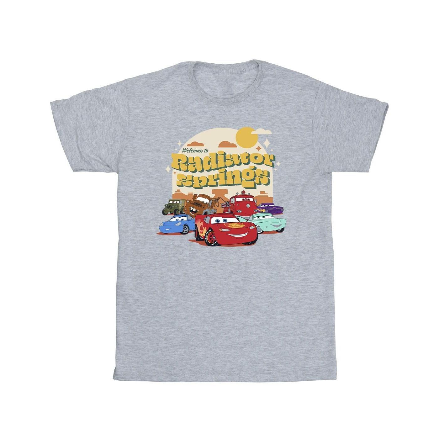 Disney Boys Cars Radiator Springs Group T-Shirt (Sports Grey) (3-4 Years)