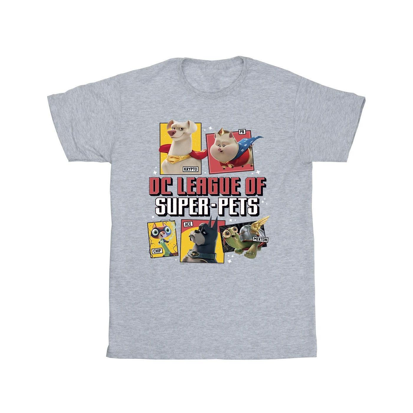 DC Comics Girls DC League Of Super-Pets Profile Cotton T-Shirt (Sports Grey) (3-4 Years)