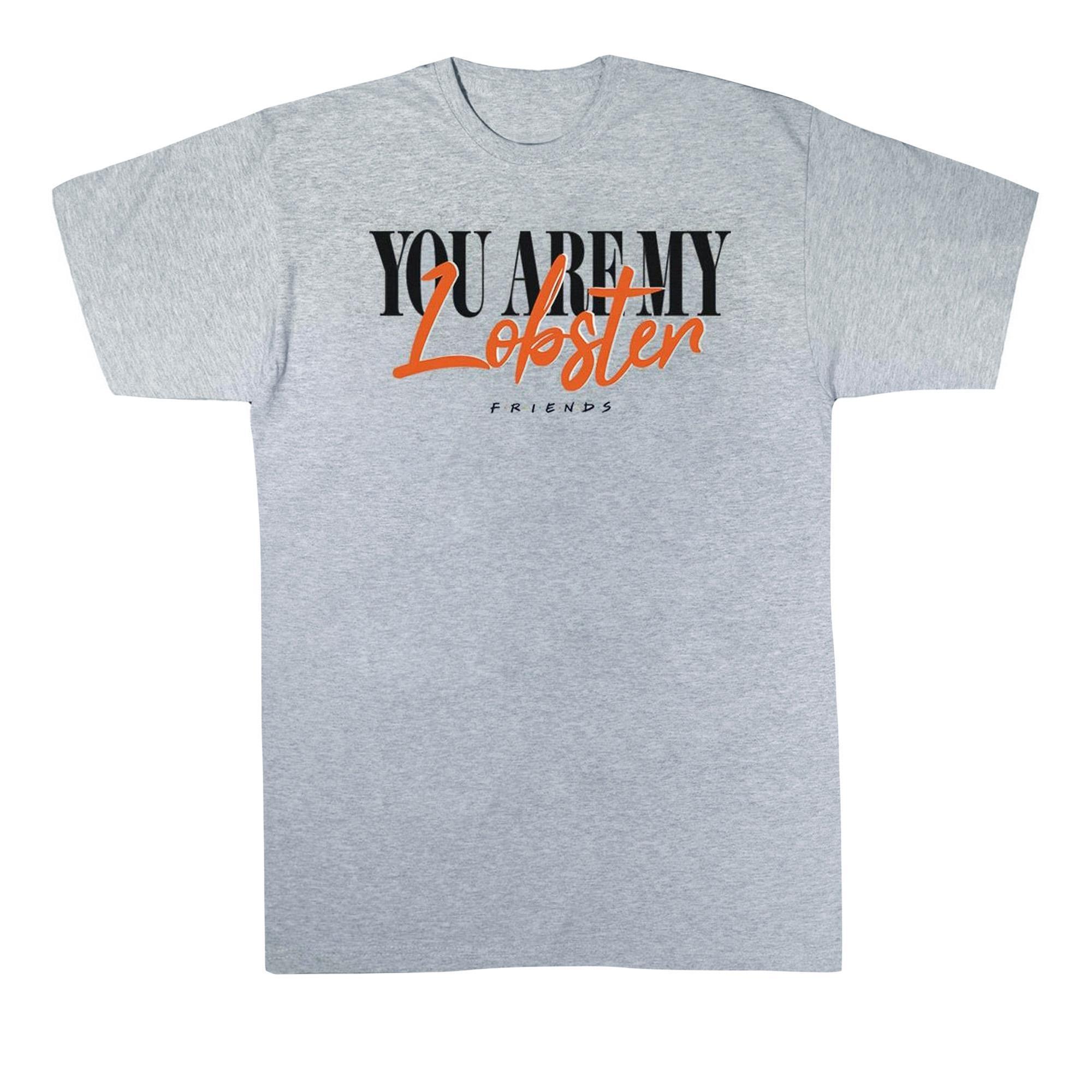 Friends Boys Lobster Soul Mates T-Shirt (Sports Grey) (9-11 Years)