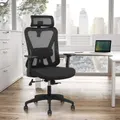 Advwin Ergonomic Office Chair Mesh High Back Desk Chair Adjustable Headrest Lumbar Support and Armrest
