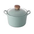 Neoflam Retro 22cm Stockpot Induction with Die-Cast Lid - Green