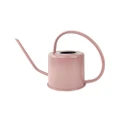 Urban 24x35cm Modern Metal Watering Can Garden Planting Water Container Rose