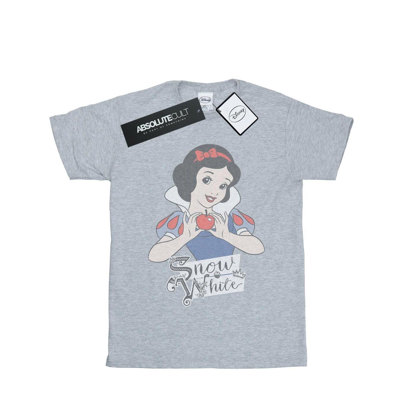Disney Princess Mens Snow White Apple T-Shirt (Sports Grey) (XXL)