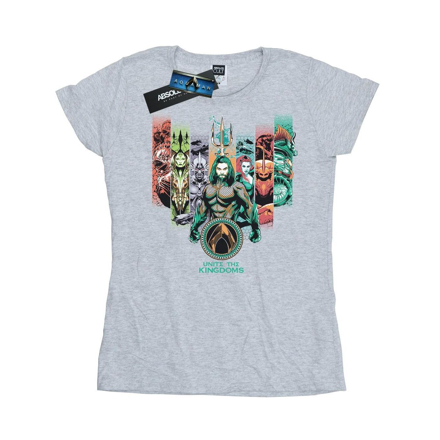 DC Comics Womens/Ladies Aquaman Unite The Kingdoms Cotton T-Shirt (Sports Grey) (L)