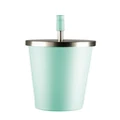 Insulated Smoothie Tumbler (Mint) - 500mL