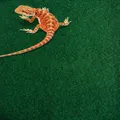 Komodo Reptile Carpet 120x60cm Habitat Substate