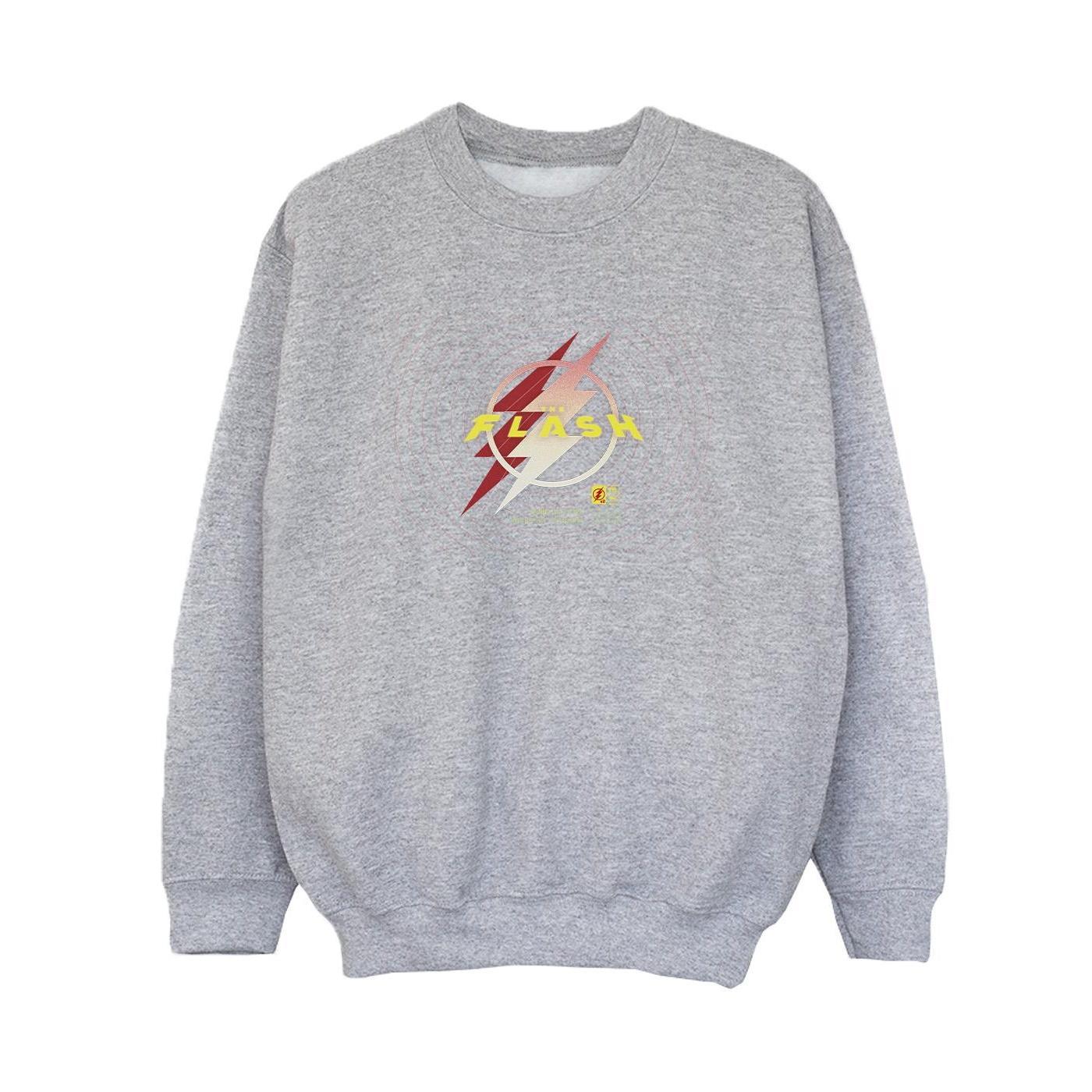 DC Comics Boys The Flash Lightning Logo Sweatshirt (Sports Grey) (5-6 Years)