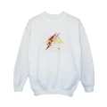 DC Comics Boys The Flash Lightning Logo Sweatshirt (White) (5-6 Years)