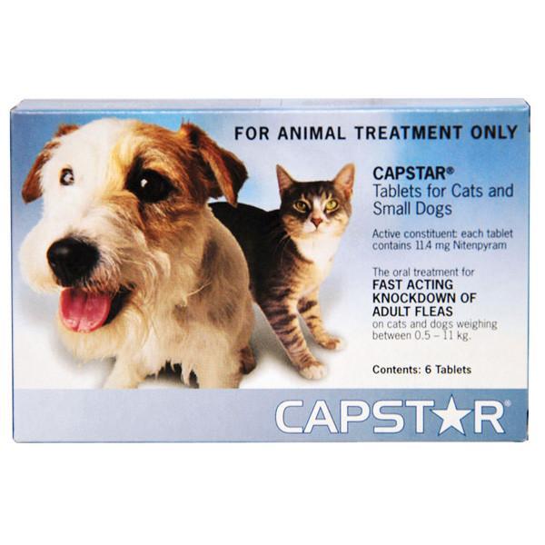 Capstar Fleas for Cats and Small Dogs 0.5 - 11kg - 6 Pack