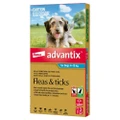 Advantix Dog 4-10Kg Medium 3'S Teal