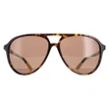 Polo Ralph Lauren PH4173 Sunglasses