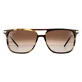 Salvatore Ferragamo Sunglasses SF966S 319 Striped Khaki Brown Gradient
