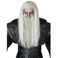 Dark Wizard Sorcerer Magician Medieval Grey Mens Costume Wig Moustache and Beard